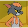 Tom and jerry 28