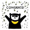 Bike Bear 26