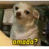 amada?