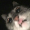 Sorprendido MEMES 6