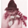 Animales 20