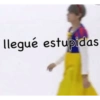 llegué estupidas