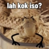 Cute snake 5