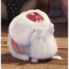 Coelhinho pets 22