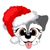 Schnauzer Navidad 8