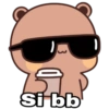 3
19
Si bb