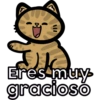 Gatitos riéndose 🐱😈 22