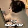 ALV,
IMPAKTADO