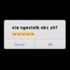 JANGAN GANGGU 11