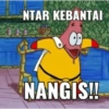 Petrik 7