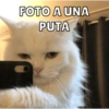 Michis Para ti pt.4🐱❤️ 4