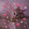 Cat heart memes 12