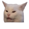 Pets Reactions 11