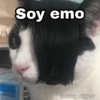 Soy emo
JA
Nu
Dal
Nutr
RES WHEN USED BY
LCONSUD RERONE
S hrley Stiskers