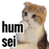 Memes aleatórios 16