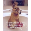 ni un baño me quita
todo lo sucio que te
quiero hacer