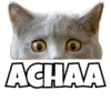 ACHAA