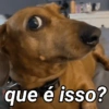que é isso?