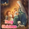 Merry Christmas 15