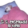 KANE STICKERS
Si Si enseguida
10 hago