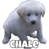 Memes para todo el mundo 11