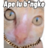 AkuPadamu 11