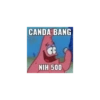 CANDA BANG
NIH 500