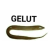 GELUT