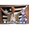 Cavalinho do Botafogo 8