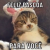 FELIZ PÁSCOA
PARA VOCÊ