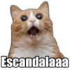 Payi Escandalaaa