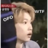 Stray kids 16