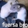 fuersa bro