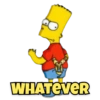 The Simpsons 12