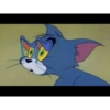 Tom and jerry 11