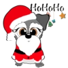 Schnauzer Navidad 15