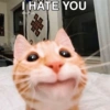 I HATE YOU
@icattos
#