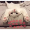 Gatos tiernos #1 25