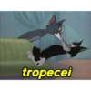 Manda no grupo da família 12