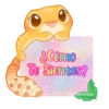 🦎💕Gecko Aurora💕🦎 10