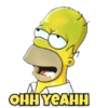 The Simpsons 14