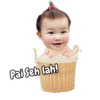 Pai Seh lah!