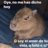 Oye, no me has dicho hoy Q soy el amor de tu vida, q falló o q?