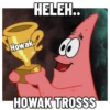 Petrik 9