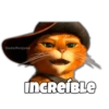 Gato con Botas Random 22