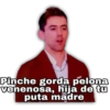 Pinche gorda pelona
venenosa, hija de tu
puta madre