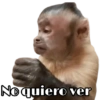 No quiero ver