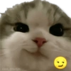 🌀 MEMES Random 5.5 😜💙 14