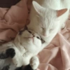 This could be us 5
