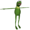 Frog 19